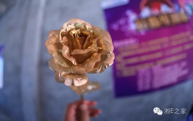 天嬌汽車文化節(jié)-一個可以吃喝玩樂的汽車節(jié)！