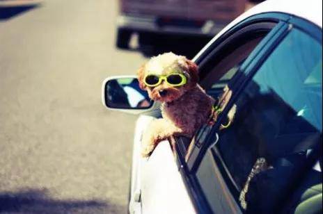 你所不知道的真相，車窗保養(yǎng)有多重要