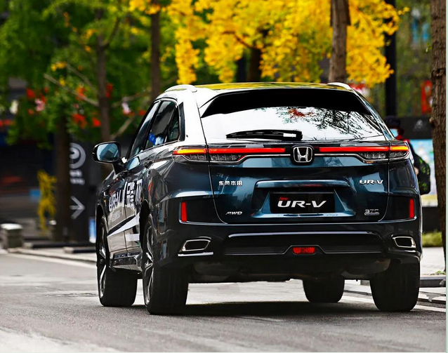 暢游樂逸蓉城，感受市井“慢生活”